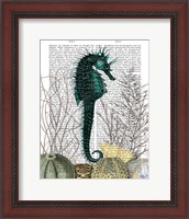 Framed SeaHorse and Sea Urchins