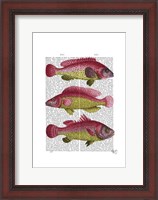 Framed Red and Yellow Fantasy Fish Trio