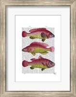 Framed Red and Yellow Fantasy Fish Trio