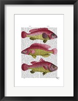 Framed Red and Yellow Fantasy Fish Trio