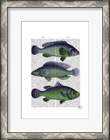Framed Blue and Green Fish Trio