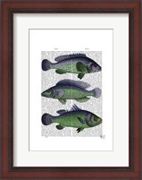 Framed Blue and Green Fish Trio