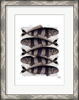 Framed Five Striped Fish