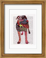 Framed Staffordshire Bull Terrier - Patchwork