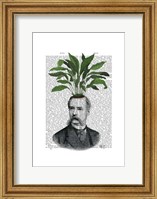 Framed Aspidistra Head Plant Head