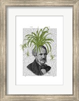 Framed Spider Plant Head