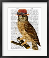 Framed Owl with Steampunk Style Bowler Hat