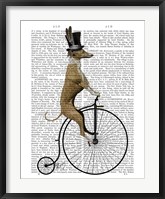 Framed Greyhound on Black Penny Farthing Bike