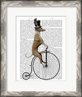 Framed Greyhound on Black Penny Farthing Bike