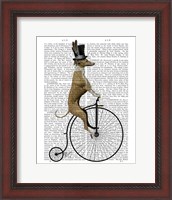 Framed Greyhound on Black Penny Farthing Bike