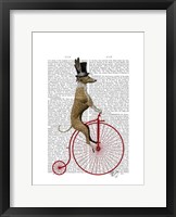 Framed Greyhound on Red Penny Farthing Bike
