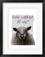 Ewe Looking at Me DeNiro Sheep Framed Print