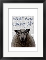 What Ewe Looking At Framed Print