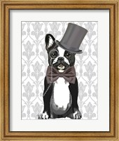 Framed Monsieur Bulldog