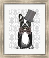 Framed Monsieur Bulldog