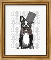 Framed Monsieur Bulldog