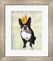 Framed Boston Terrier and Crown