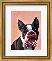 Framed Boston Terrier Portrait with Red Bow Tie and Moustache