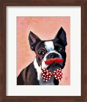 Framed Boston Terrier Portrait with Red Bow Tie and Moustache