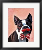 Framed Boston Terrier Portrait with Red Bow Tie and Moustache