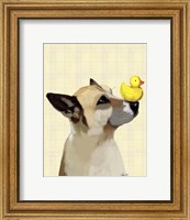 Framed Dog and Duck