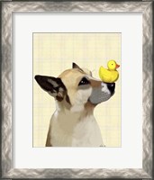 Framed Dog and Duck