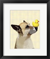 Framed Dog and Duck