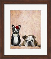 Framed French Bulldog and English Bulldog