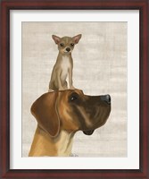 Framed Great Dane and Chihuahua