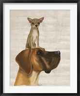 Framed Great Dane and Chihuahua