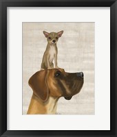 Great Dane and Chihuahua Framed Print