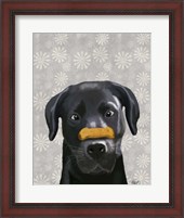 Framed Black Labrador With Bone on Nose