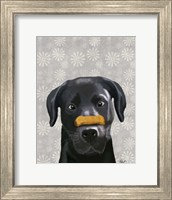 Framed Black Labrador With Bone on Nose