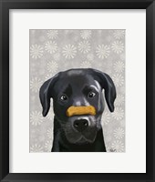 Black Labrador With Bone on Nose Framed Print