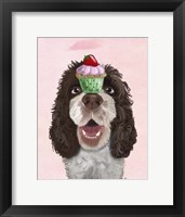 Springer Spaniel with Cupcake Framed Print