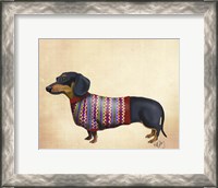 Framed Dachshund With Woolly Sweater