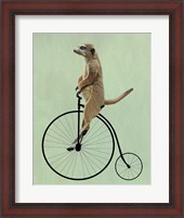 Framed Meerkat on Black Penny Farthing