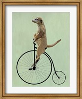 Framed Meerkat on Black Penny Farthing