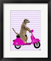 Meerkat on Pink Moped Framed Print
