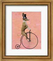 Framed Greyhound on Black Penny Farthing