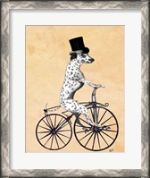 Framed Dalmatian On Bicycle