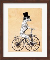 Framed Dalmatian On Bicycle