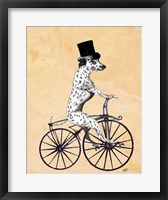 Framed Dalmatian On Bicycle