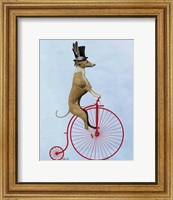 Framed Greyhound on Red Penny Farthing