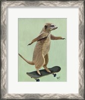 Framed Meerkat On Skateboard