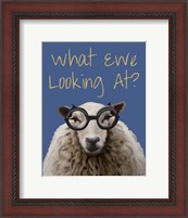 Framed What Ewe Looking At Sheep Print