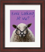 Framed Ewe Looking at Me DeNiro Sheep