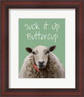 Framed Suck It Up Buttercup Sheep Print
