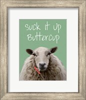 Framed Suck It Up Buttercup Sheep Print