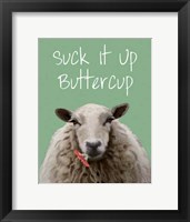 Suck It Up Buttercup Sheep Print Framed Print